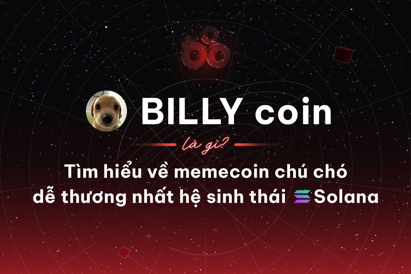 billy-coin-la-gi-tim-hieu-ve-memecoin-chu-cho-de-thuong-nhat-he-sinh-thai-solana