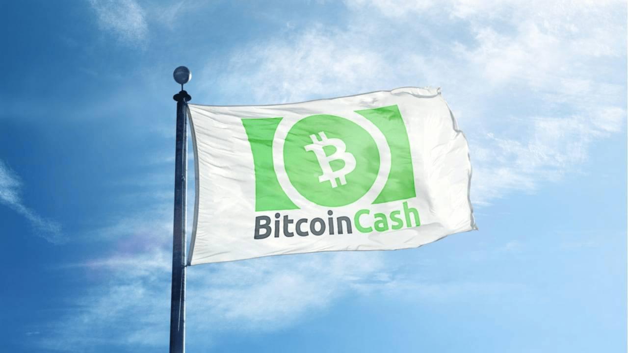 bitcoin-cash-chuan-bi-nang-cap-cashtokens-cho-phep-xay-dung-smart-contract-va-dapp