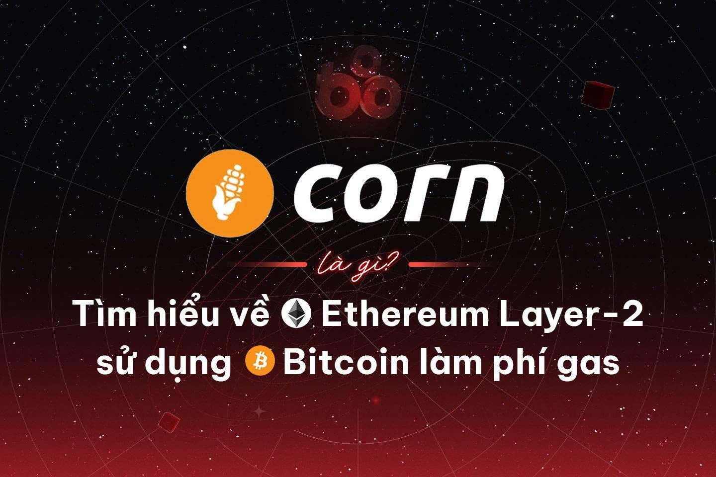 corn-la-gi-tim-hieu-ve-ethereu ...