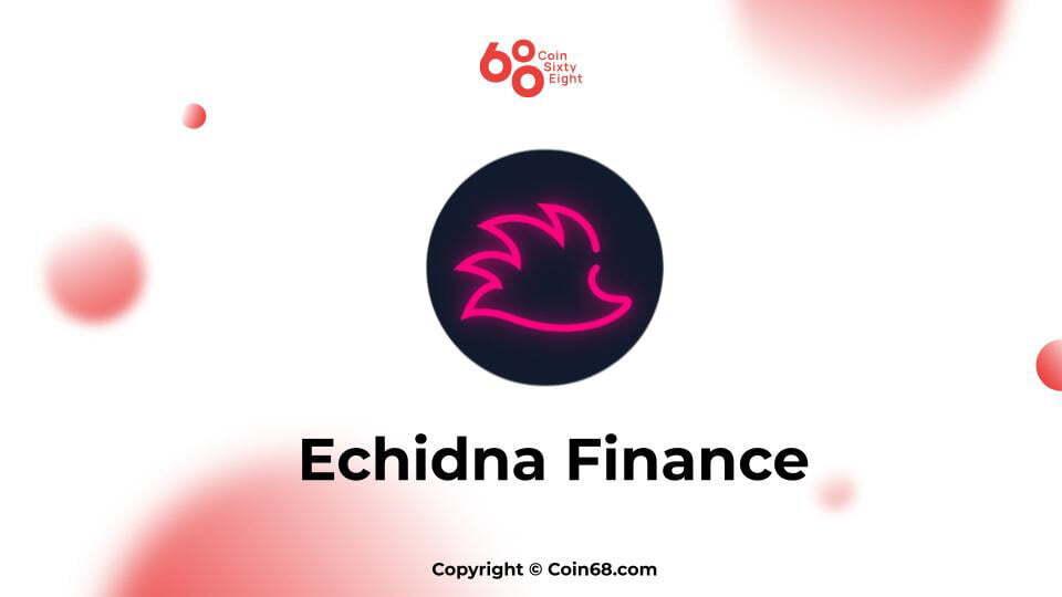 danh-gia-tong-quan-du-an-echidna-finance-ecd-coin-thong-tin-va-update-moi-nhat-ve-du-an-echidna-finance