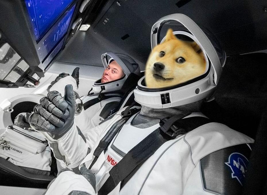 elon-musk-tiet-lo-spacex-se-som-chap-nhan-thanh-toan-dogecoin-doge