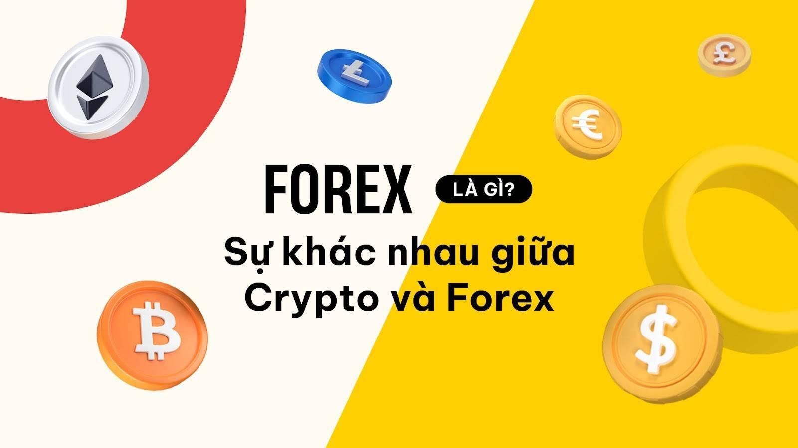 forex-la-gi-su-khac-biet-giua-thi-truong-forex-va-crypto