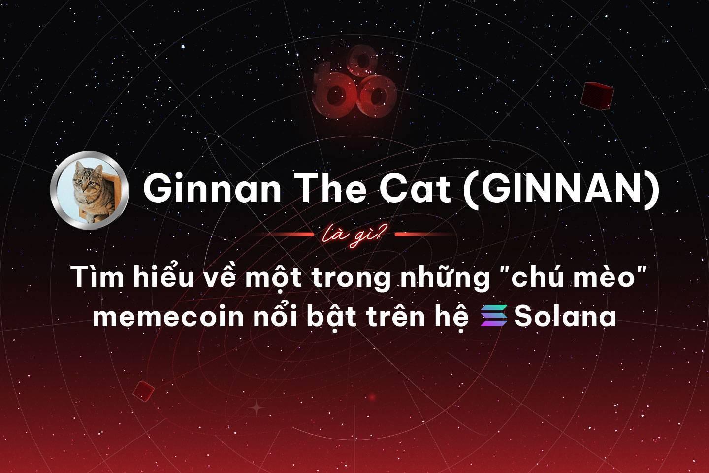 ginnan-the-cat-ginnan-la-gi-tim-hieu-ve-mot-trong-nhung-chu-meo-memecoin-noi-bat-tren-he-solana