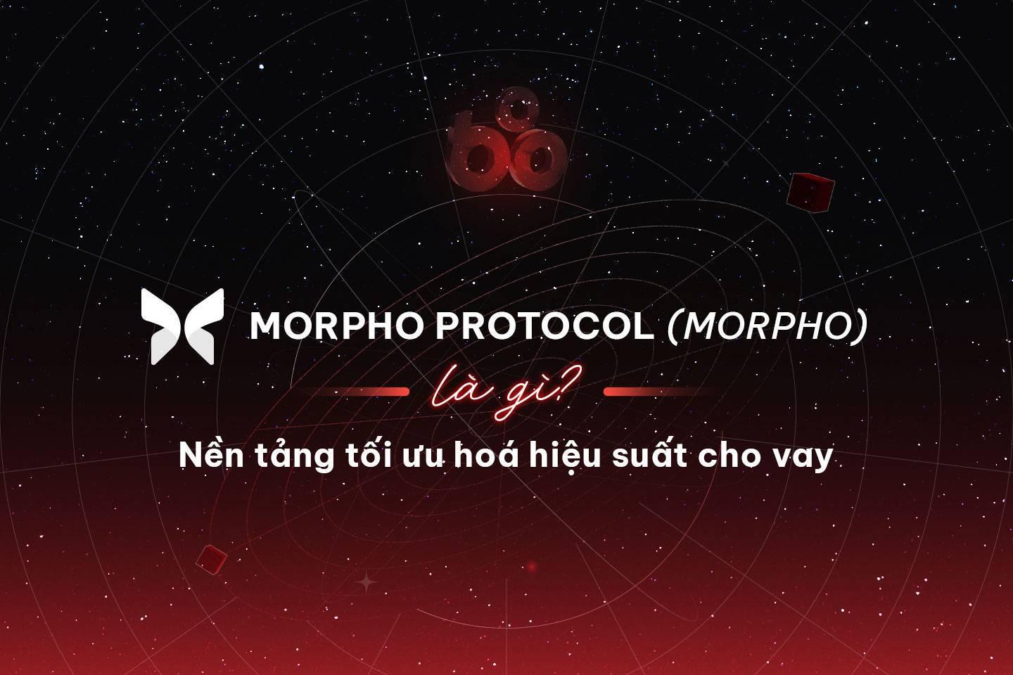 morpho-protocol-morpho-la-gi-nen-tang-toi-uu-hoa-hieu-suat-cho-vay