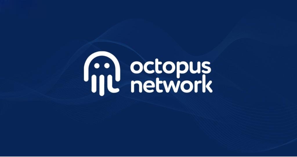 octopus-network-he-near-sa-thai-40-nhan-su-nong-cot