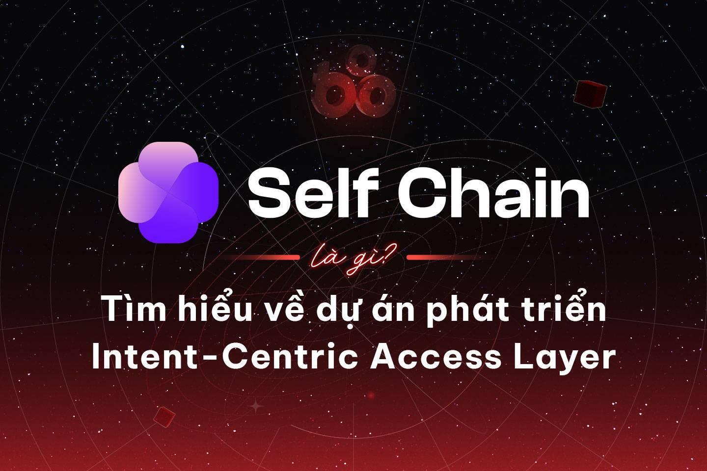 self-chain-slf-la-gi-tim-hieu- ...