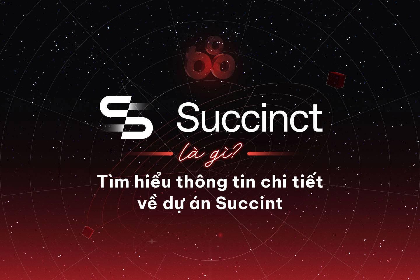 succinct-la-gi-tim-hieu-thong-tin-chi-tiet-ve-du-an-succint