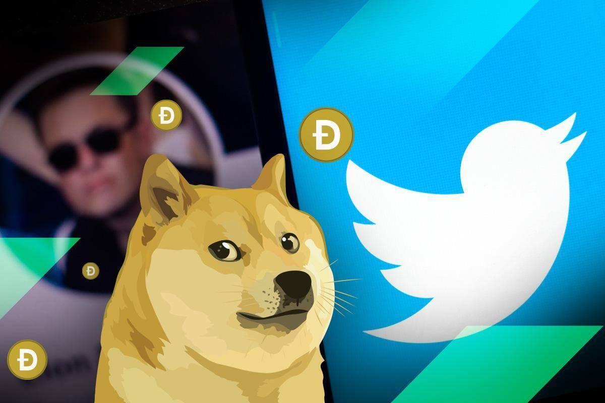 twitter-doi-logo-thanh-dogecoin-gia-doge-dung-cot