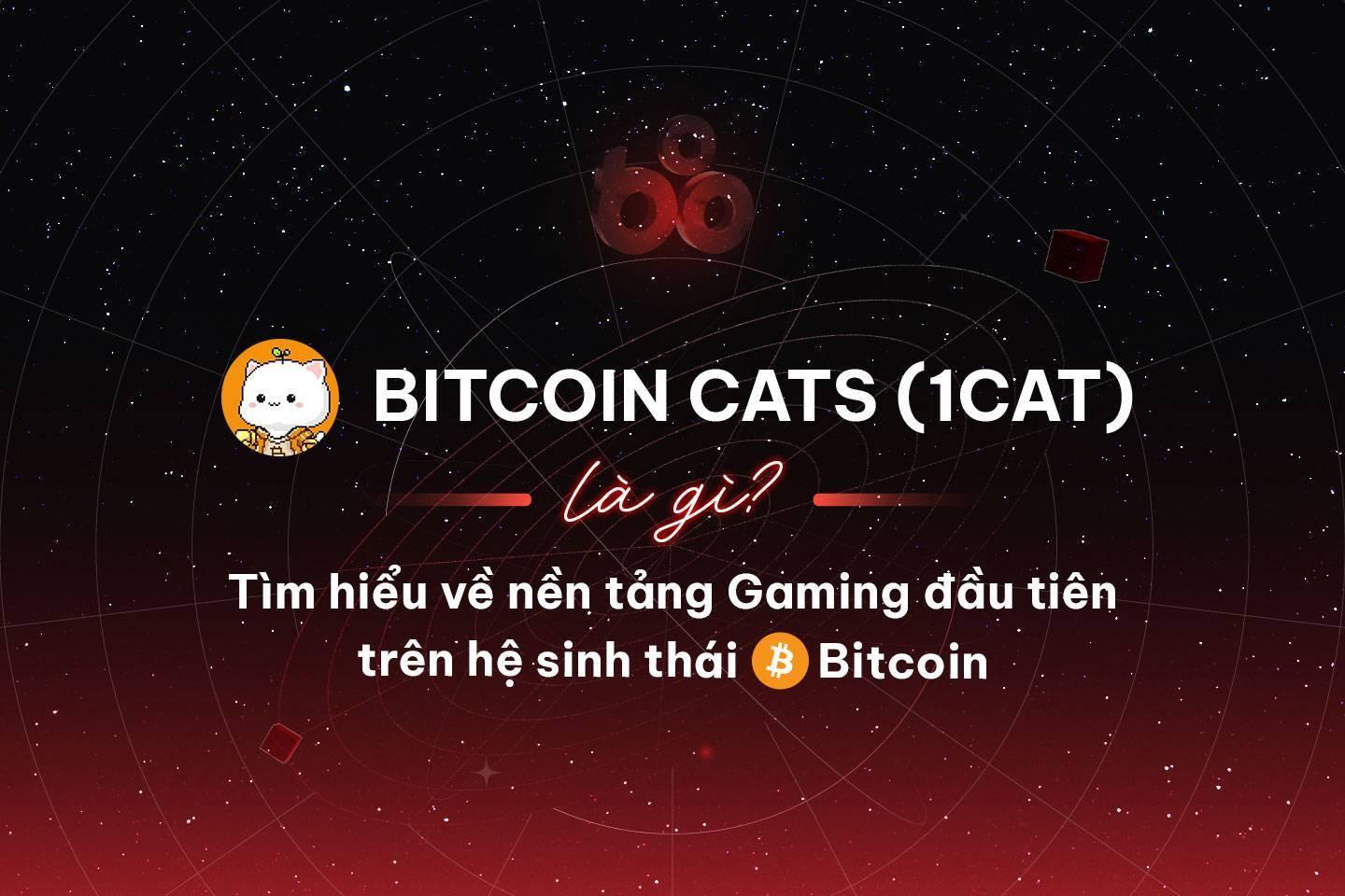 bitcoin-cats-1cat-la-gi-tim-hieu-ve-nen-tang-gaming-dau-tien-tren-he-sinh-thai-bitcoin