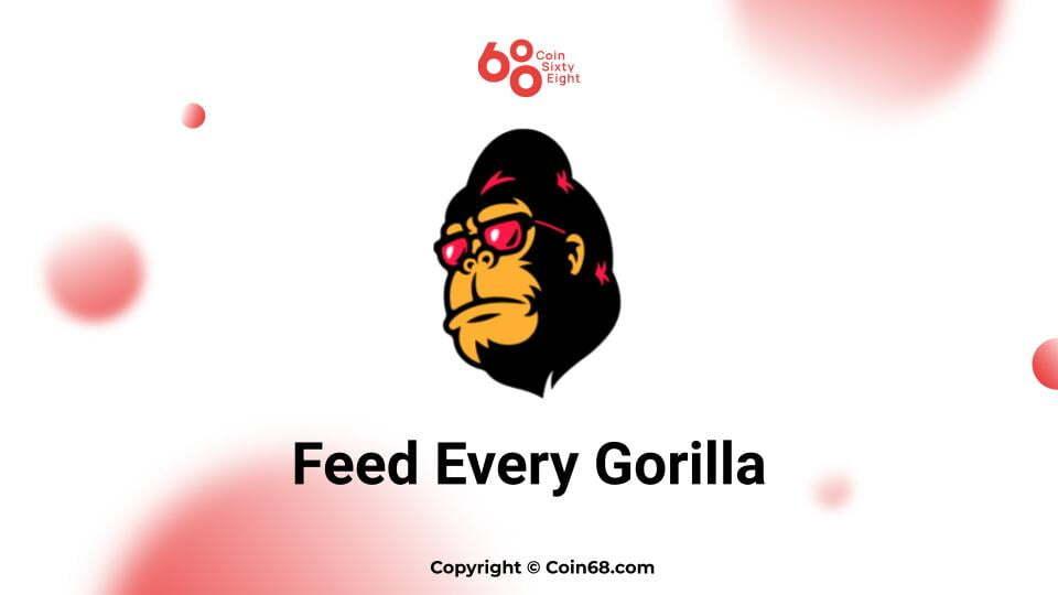 danh-gia-du-an-meme-coin-feg-feed-every-gorilla-coin-hay-can-than-voi-nhung-du-an-meme-coin