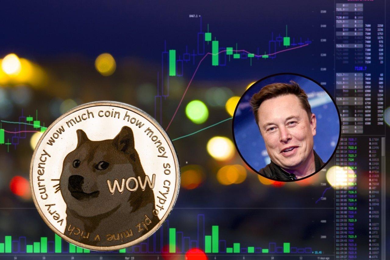 elon-musk-ung-ho-canh-bao-ve-giao-dich-don-bay-voi-dogecoin-doge