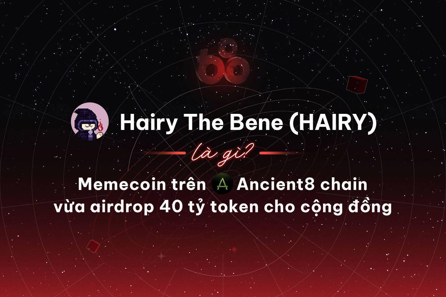 hairy-the-bene-hairy-la-gi-memecoin-tren-ancient8-chain-vua-airdrop-40-ty-token-cho-cong-dong