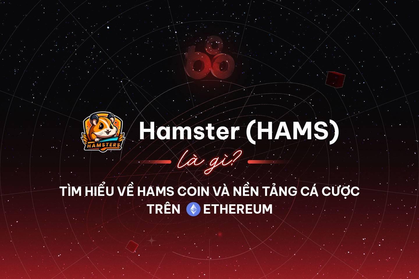hamster-hams-la-gi-tim-hieu-ve-hams-coin-va-nen-tang-ca-cuoc-tren-ethereum