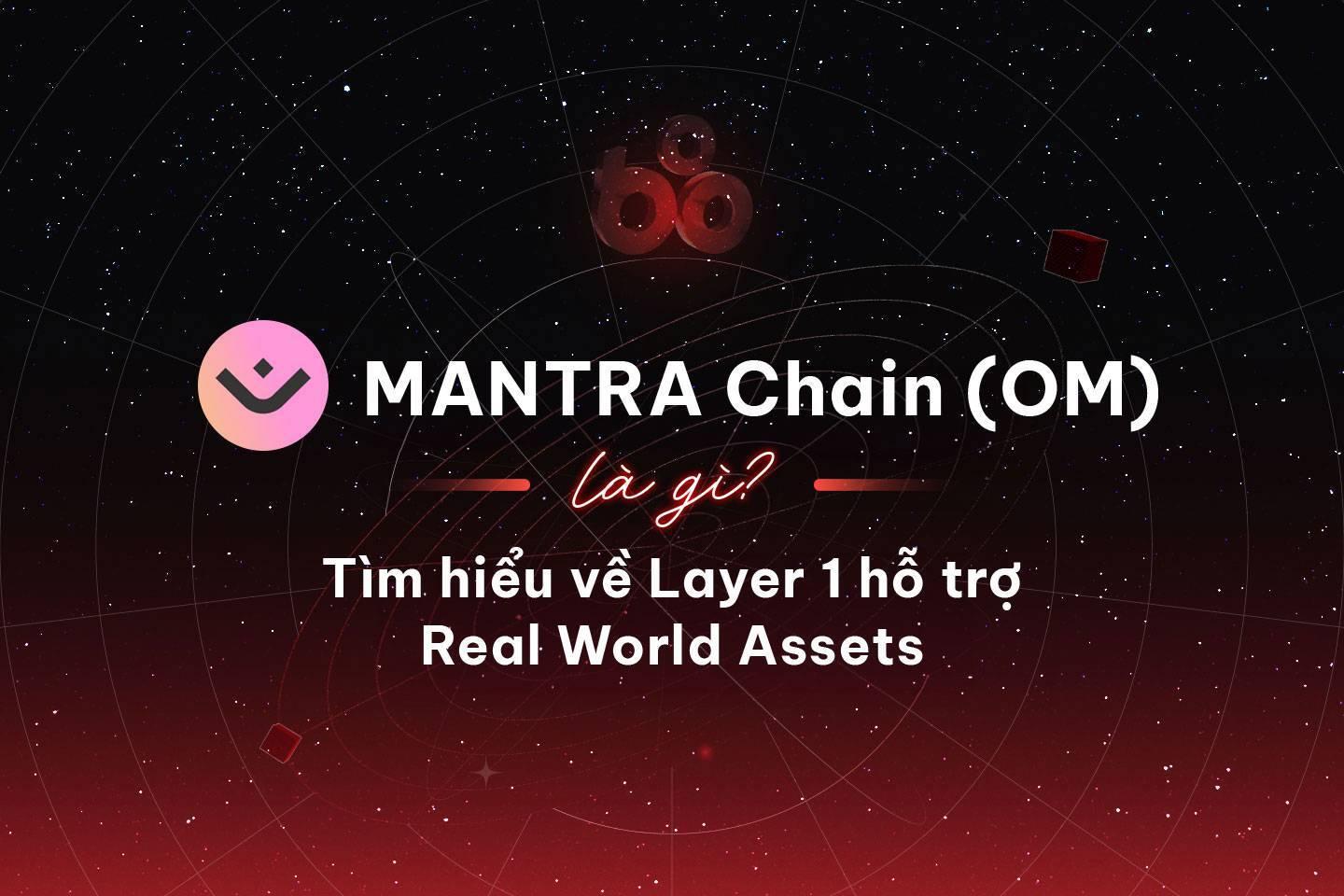 mantra-chain-om-la-gi-tim-hieu-ve-layer-1-ho-tro-real-world-assets