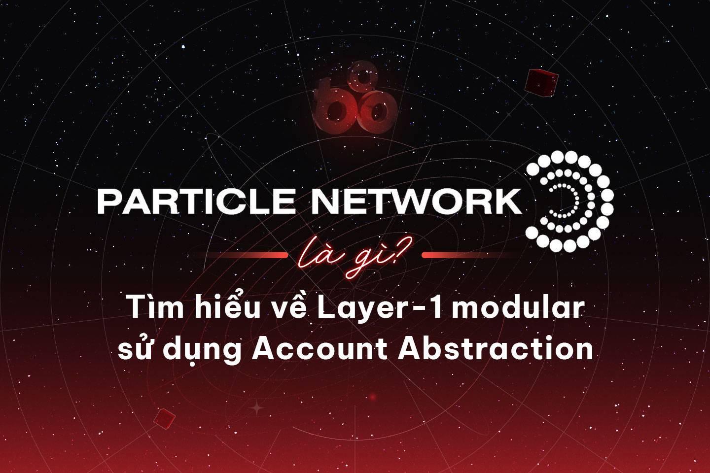 particle-network-la-gi-tim-hieu-ve-layer-1-modular-su-dung-account-abstraction