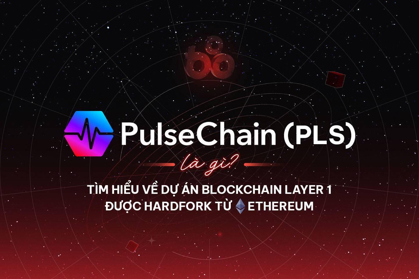 pulsechain-pls-la-gi-tim-hieu-ve-du-an-blockchain-layer-1-duoc-hardfork-tu-ethereum