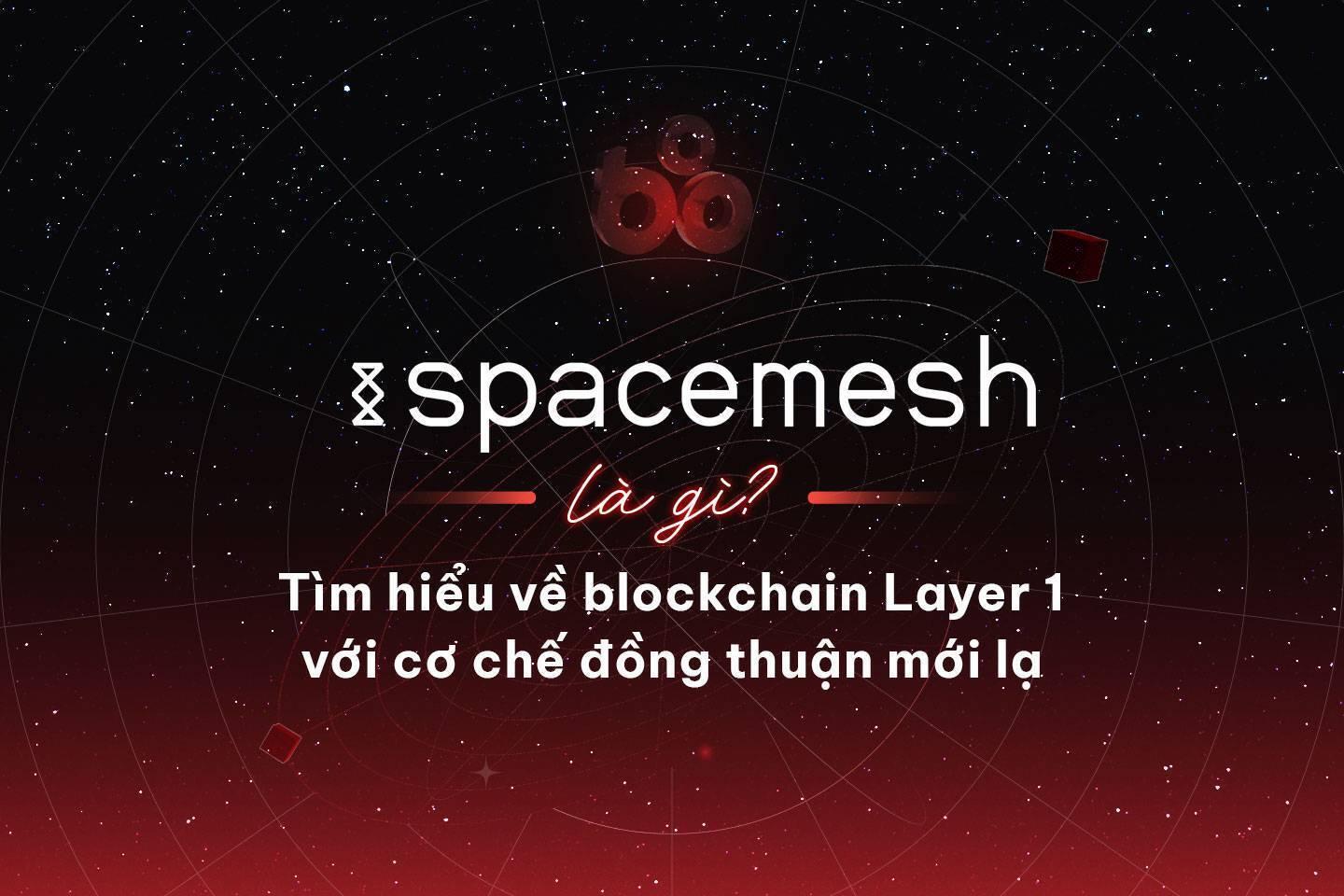 spacemesh-la-gi-tim-hieu-ve-blockchain-layer-1-voi-co-che-dong-thuan-moi-la